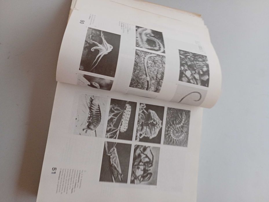 Introdução à Biologia