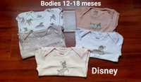 5 bodies Disney 12-18 meses