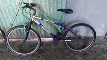 Bicicleta FDR Bravo
