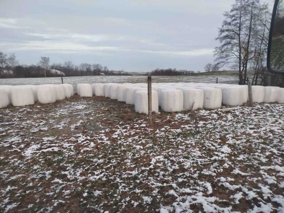 Sianokiszonka trawa+motylkowe