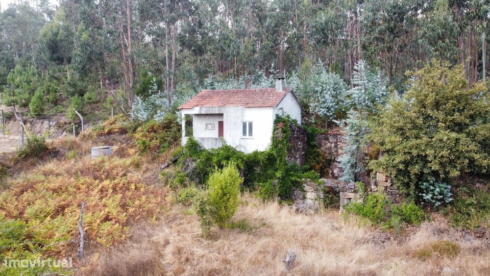 Moradia – São Pedro do Sul