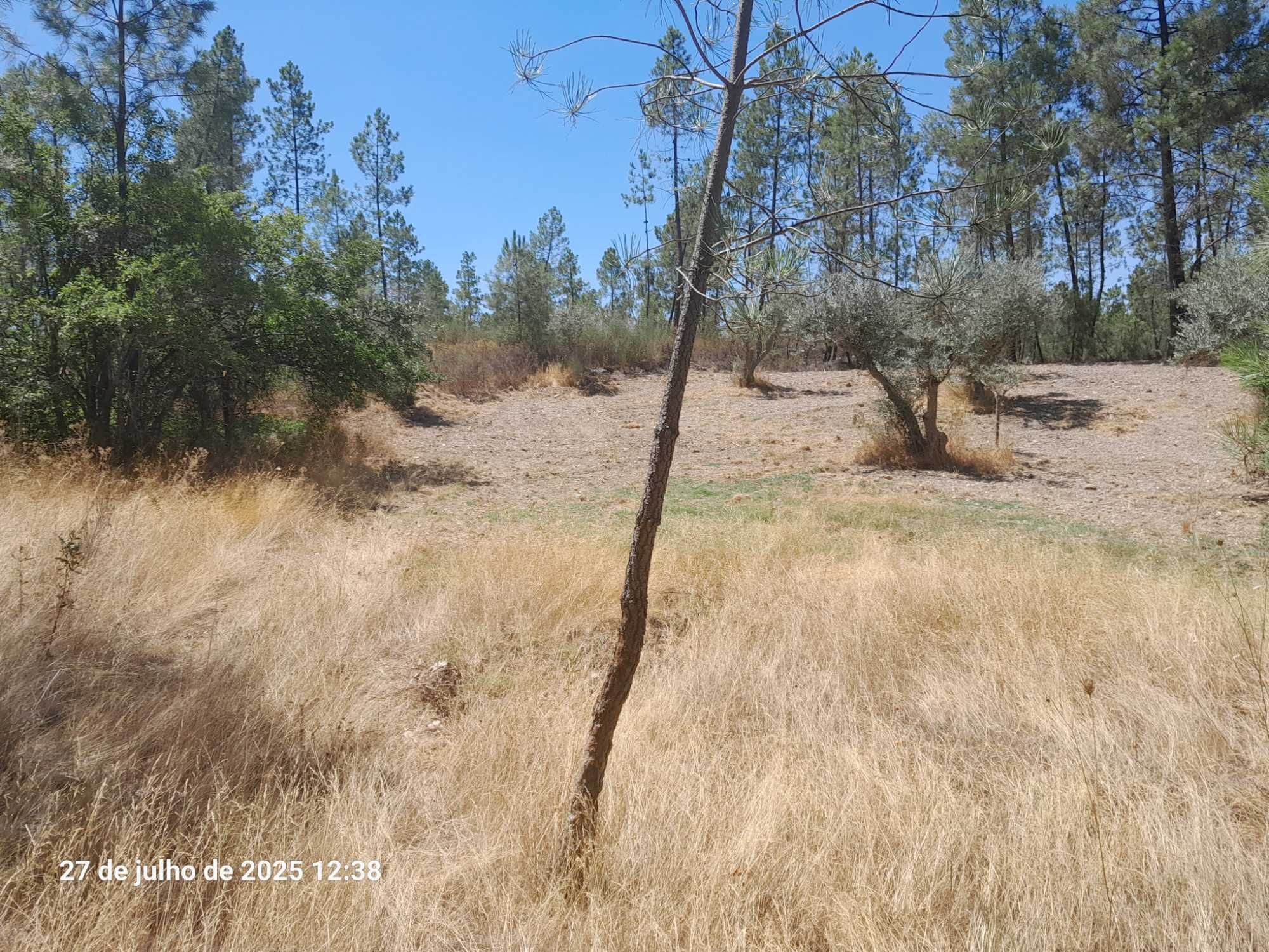Terreno Mendares (Castelo Branco)