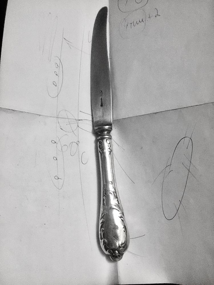 Кухонний ніж з оригінальною срібною рукояткою