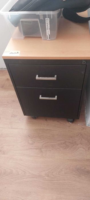 Artmario apoia a secretária