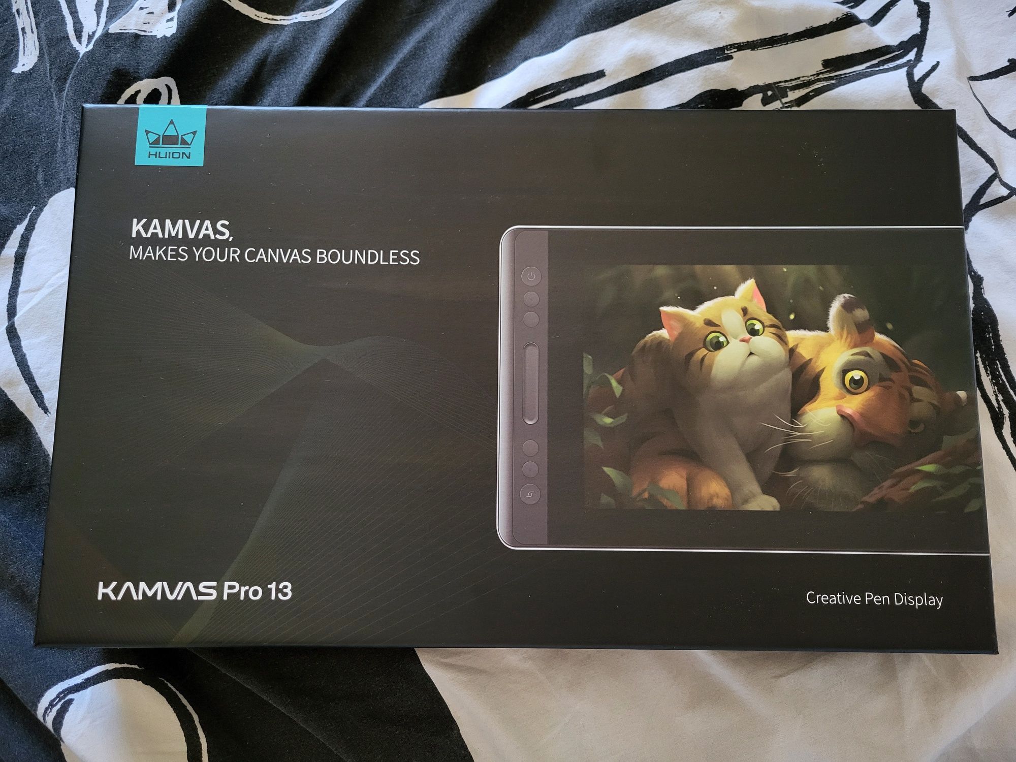 Kamvas pro 13 huion