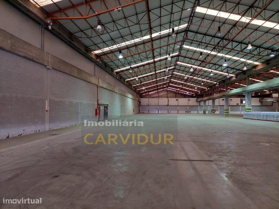 Armazém Industrial 2500m2 nave única, pé direito 8m.