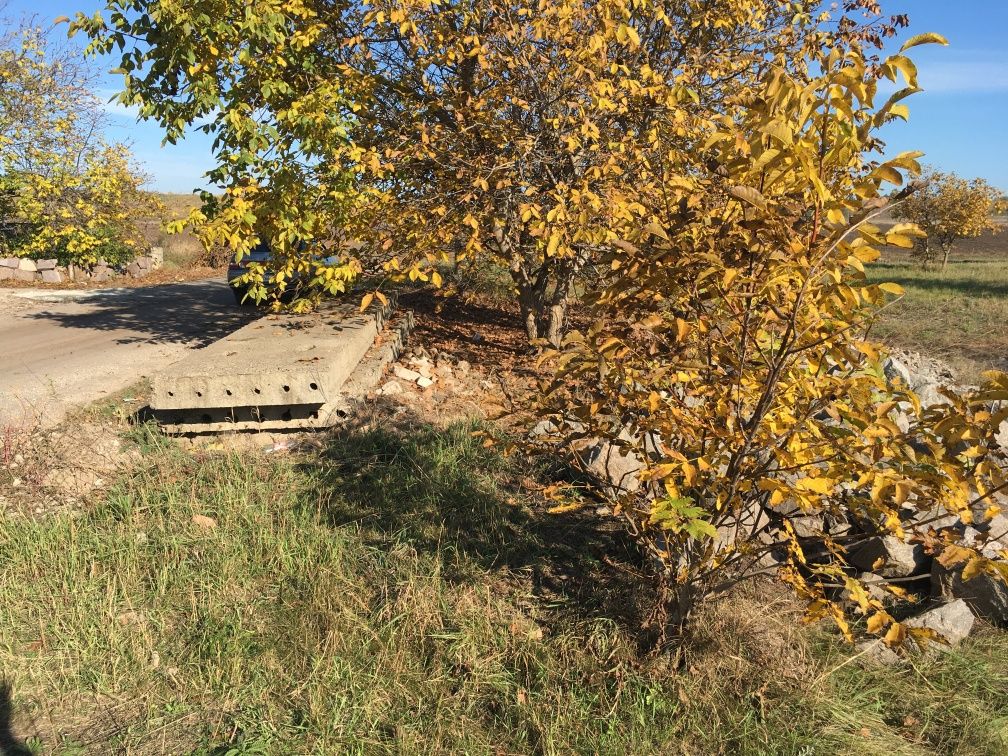 Земельна ділянка