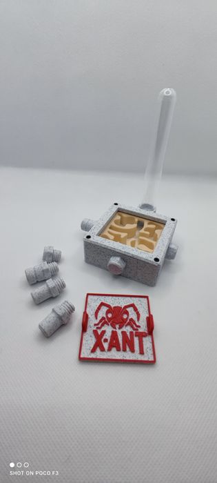 Formikarium gniazdo dla mrówek