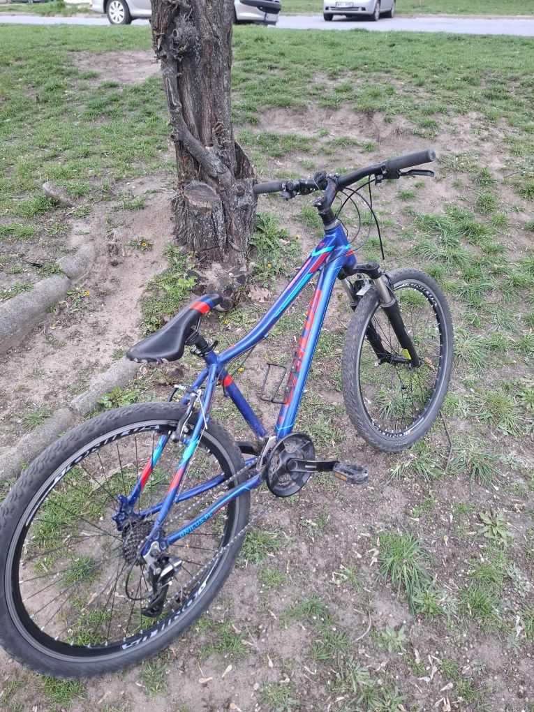 Rower mtb onilus muranus 1.0