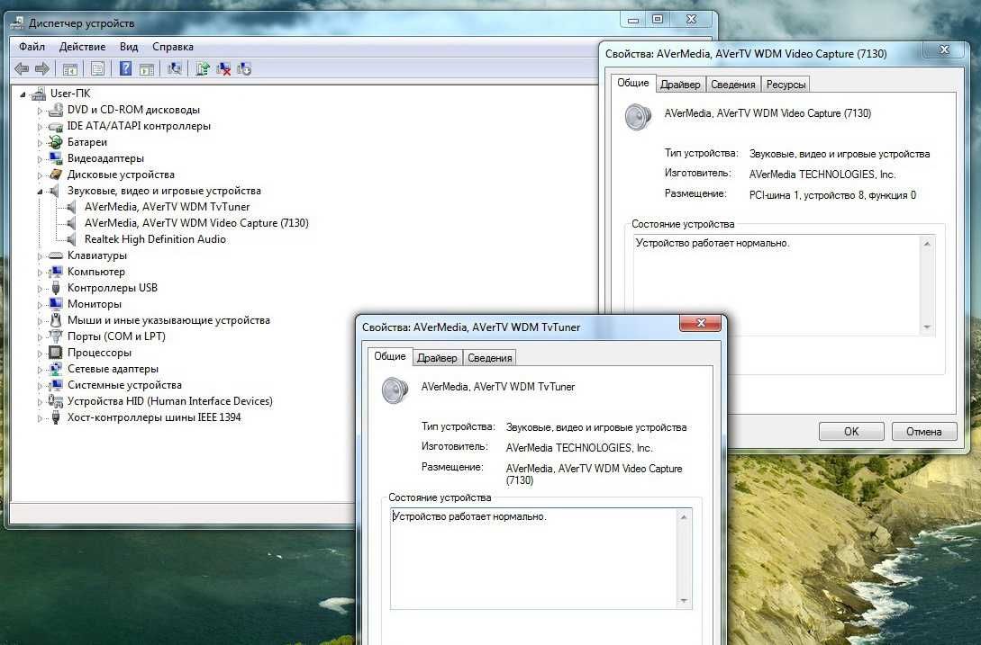 TV-тюнер Avermedia AVerTV Studio 305