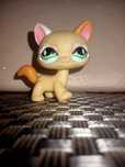 Kot Destiny Cat Shorthair LPS #626 Hasbro