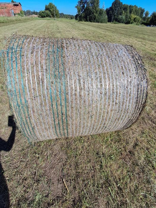 Sianokiszonka z traw