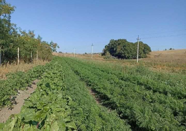 Продаж земельної ділянки зі ставком