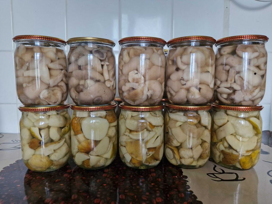 Маринованные маслята, белые грибы.
