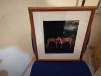 Quadro de arte canina