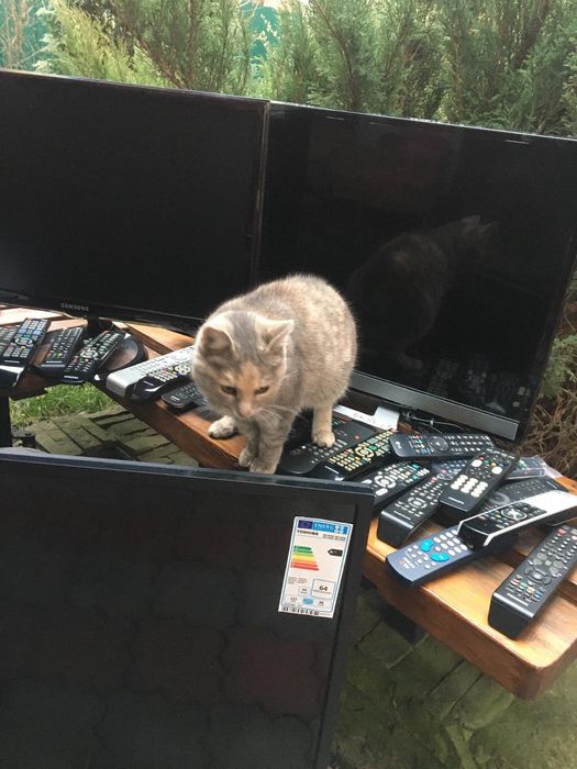 TV Samsung бу з Німеччини ,