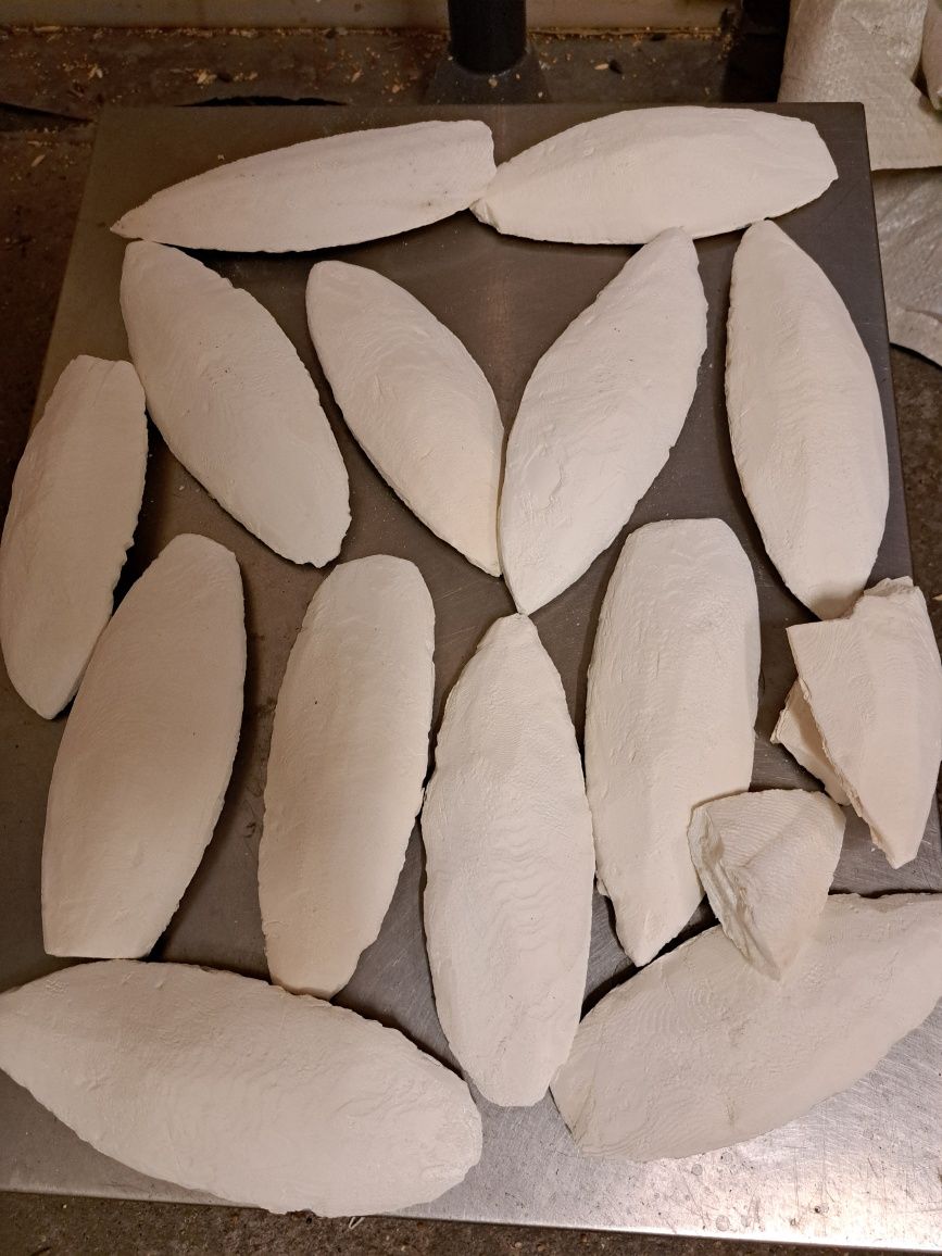 SEPIA NATURALNA 13-22 CM wysyłka gratis papugi,żółwie,kanarek ,ślimaki