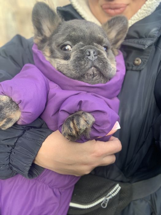 Піку солоденький пушистік