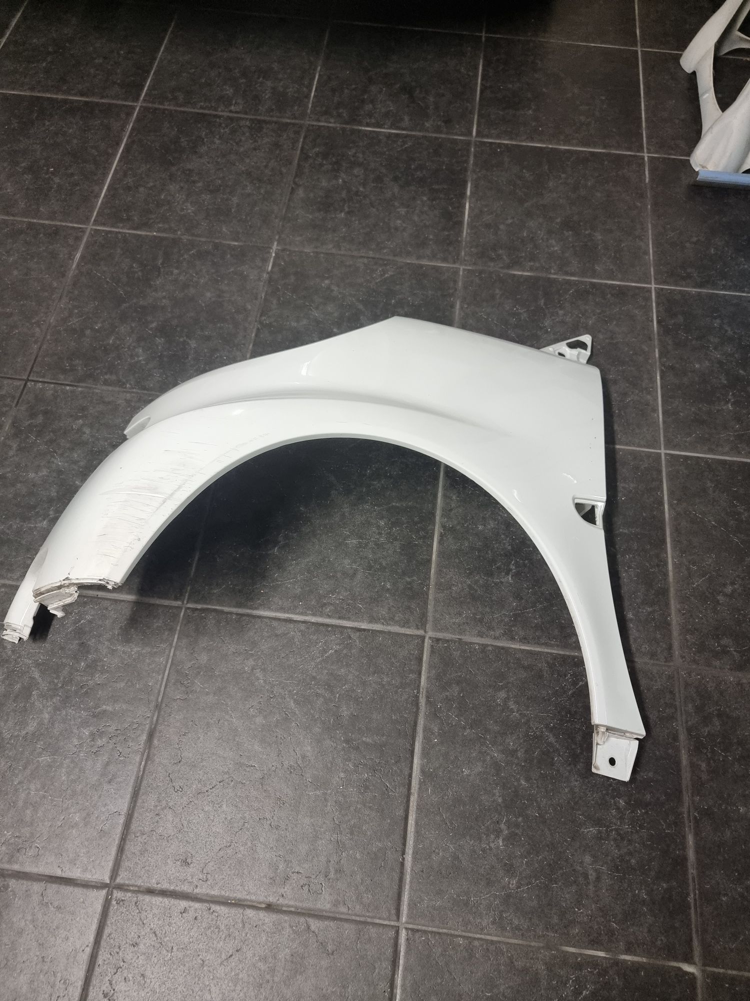 Guarda lamas esquerdo smart 451