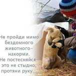 Потрібна допомога.