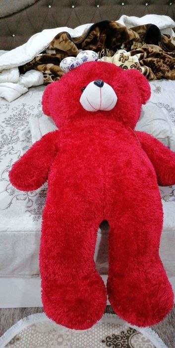 Віддам ведмедя червоного