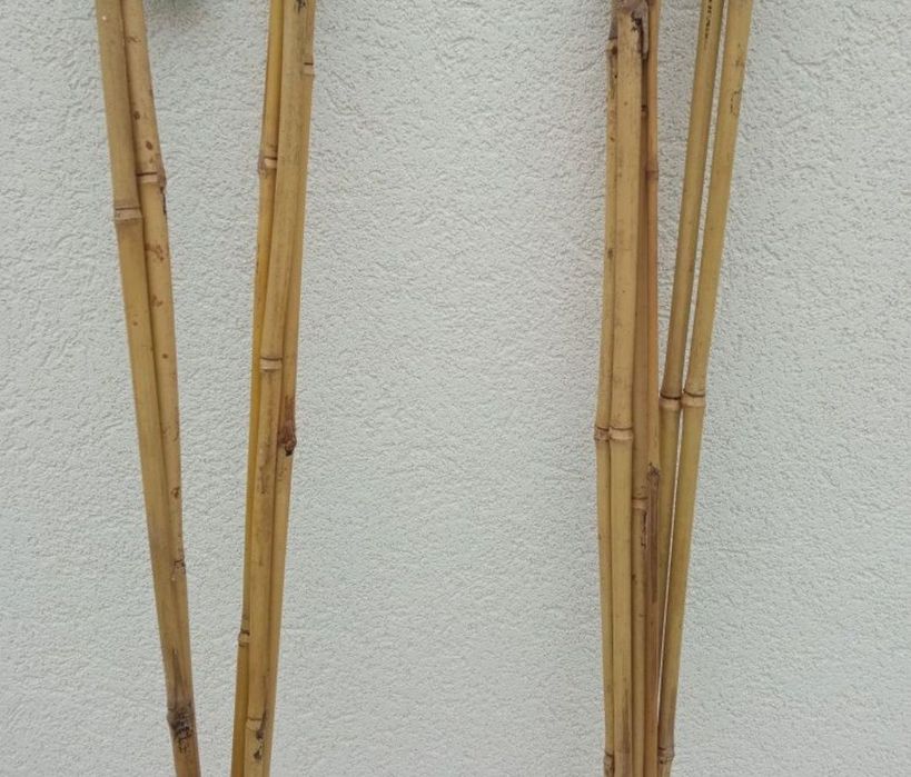 Tutores para flores ou plantas de médio/grande porte