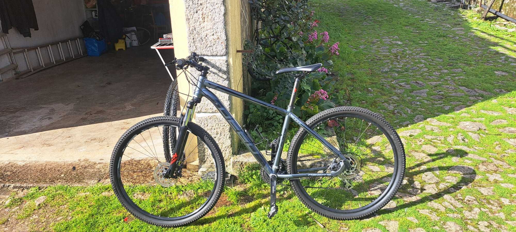 Bicicleta Deed Flame 293 BBT