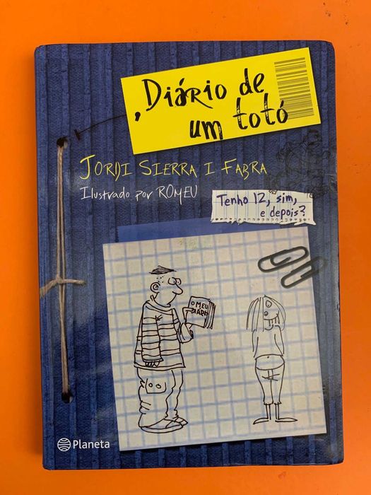 Diário de um totó - Jordi Sierra i Fabra