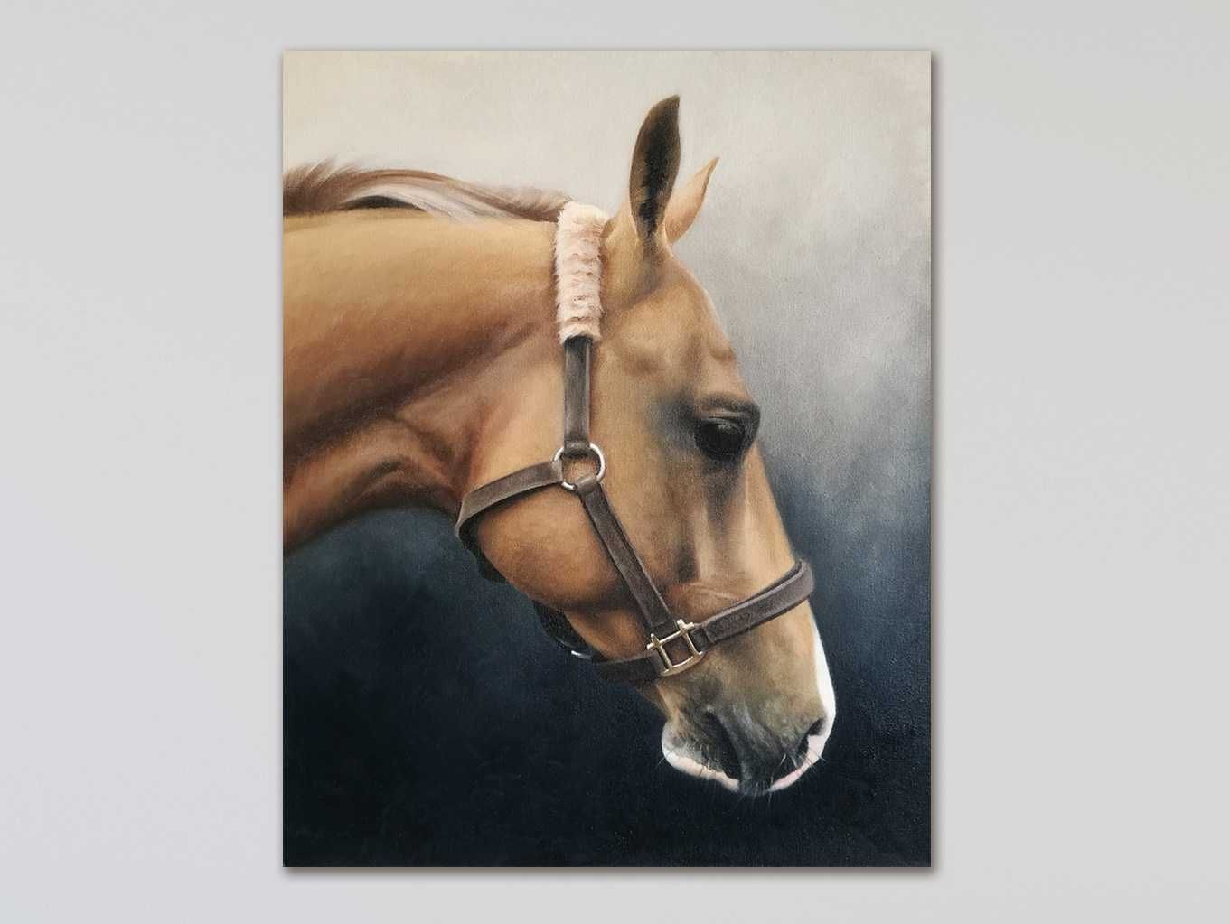 Koń, realistyczny portret konia, obraz olejny