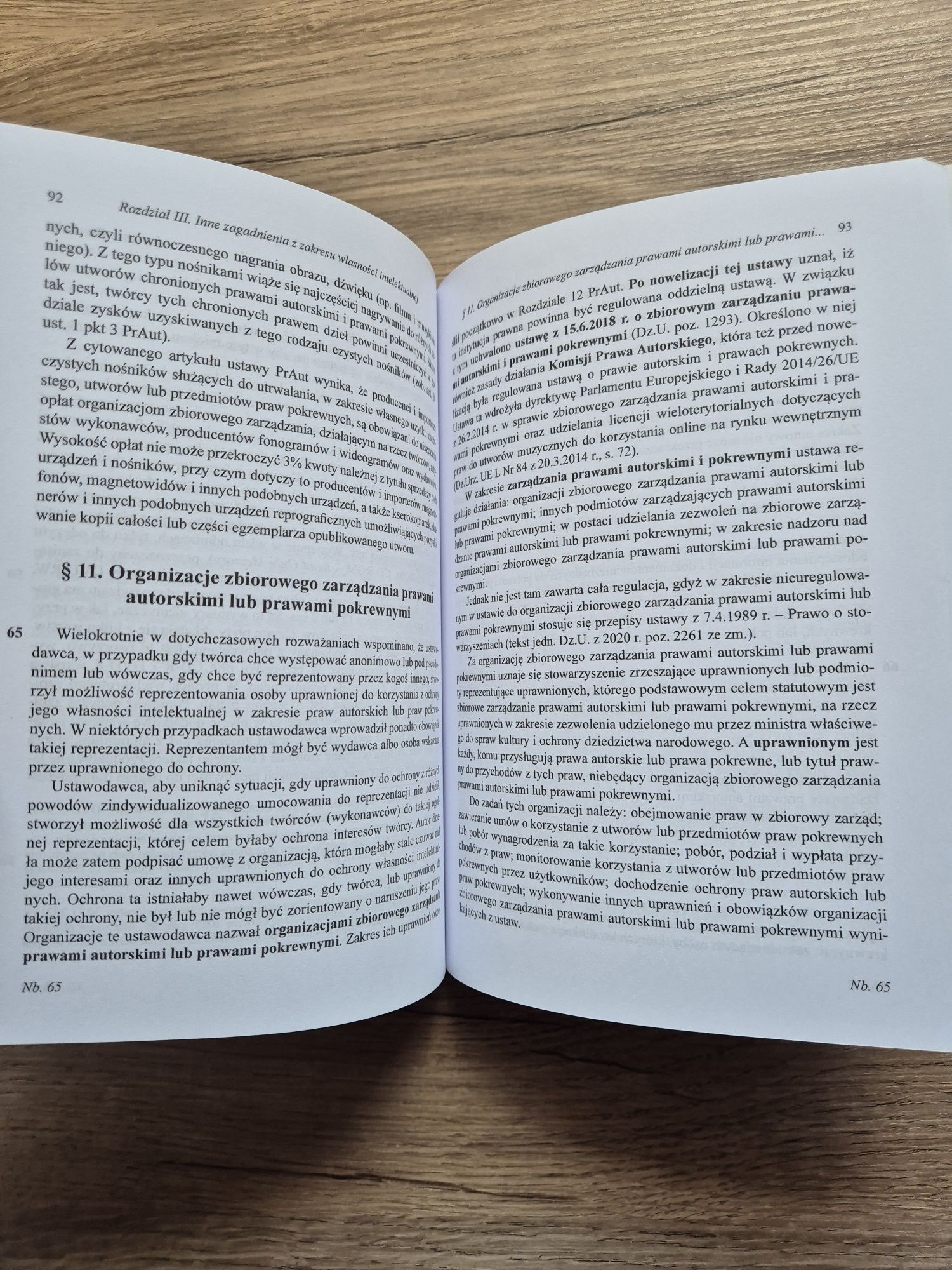 G. Michniewicz - Ochrona własności intelektualnej