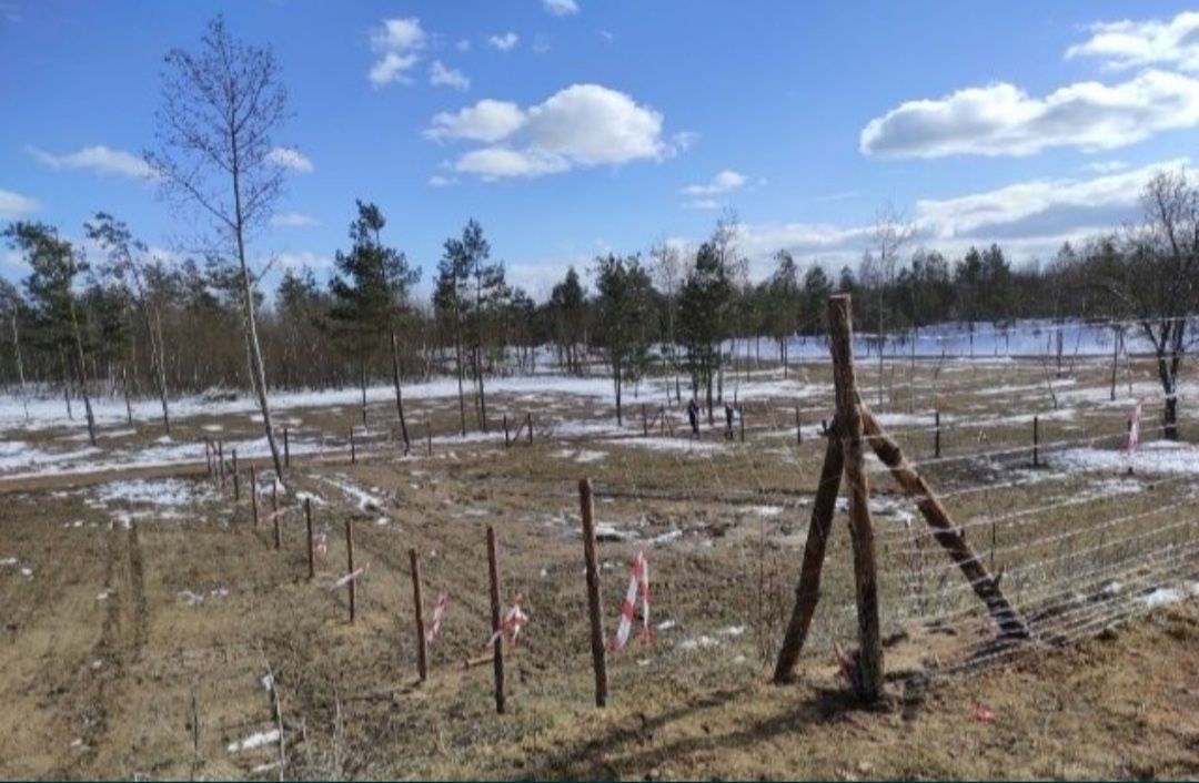 Ogrodzenie budowlane, ogrodzenie tymczasowe, ogrodzenie leśne