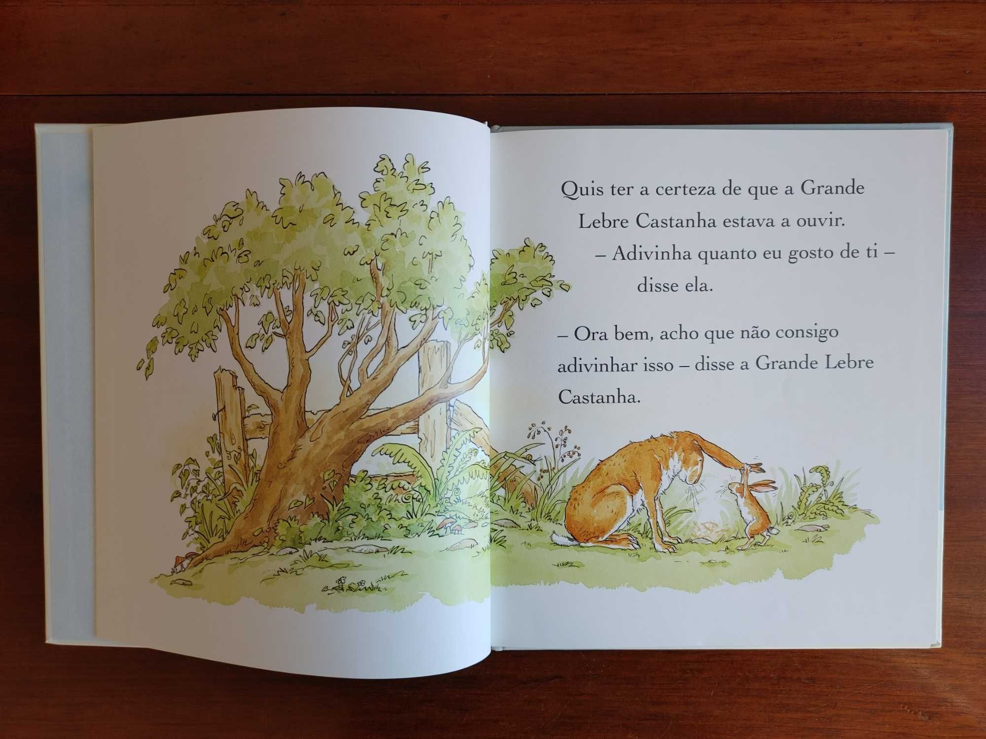 Adivinha Quanto Eu Gosto de Ti
de Sam McBratney