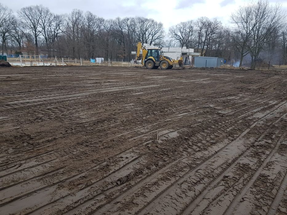 Ziemia pod trawnik,  ogródek,  tuje,  drzewka