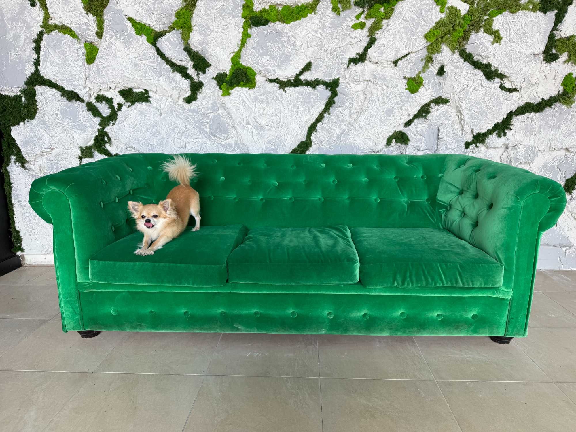 Sofa Chesterfield 3-osobowa - BIAŁYSTOK