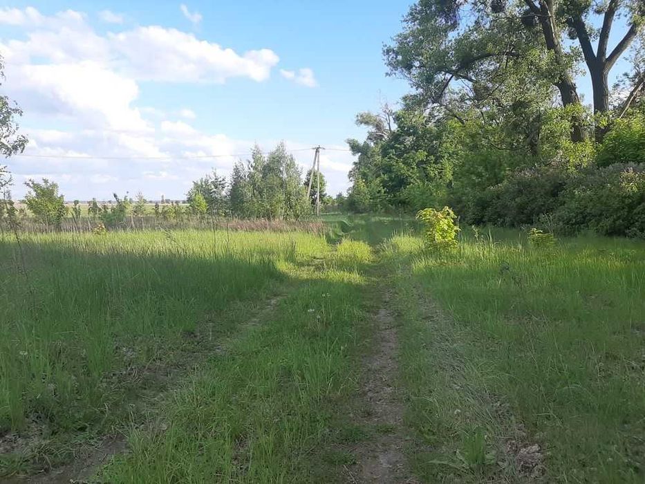 Продам фасадну ділянку під комерцію с.Козаровичі Вишгородський район