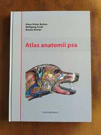 Atlas anatomii psa, książka, weterynaria, Budras