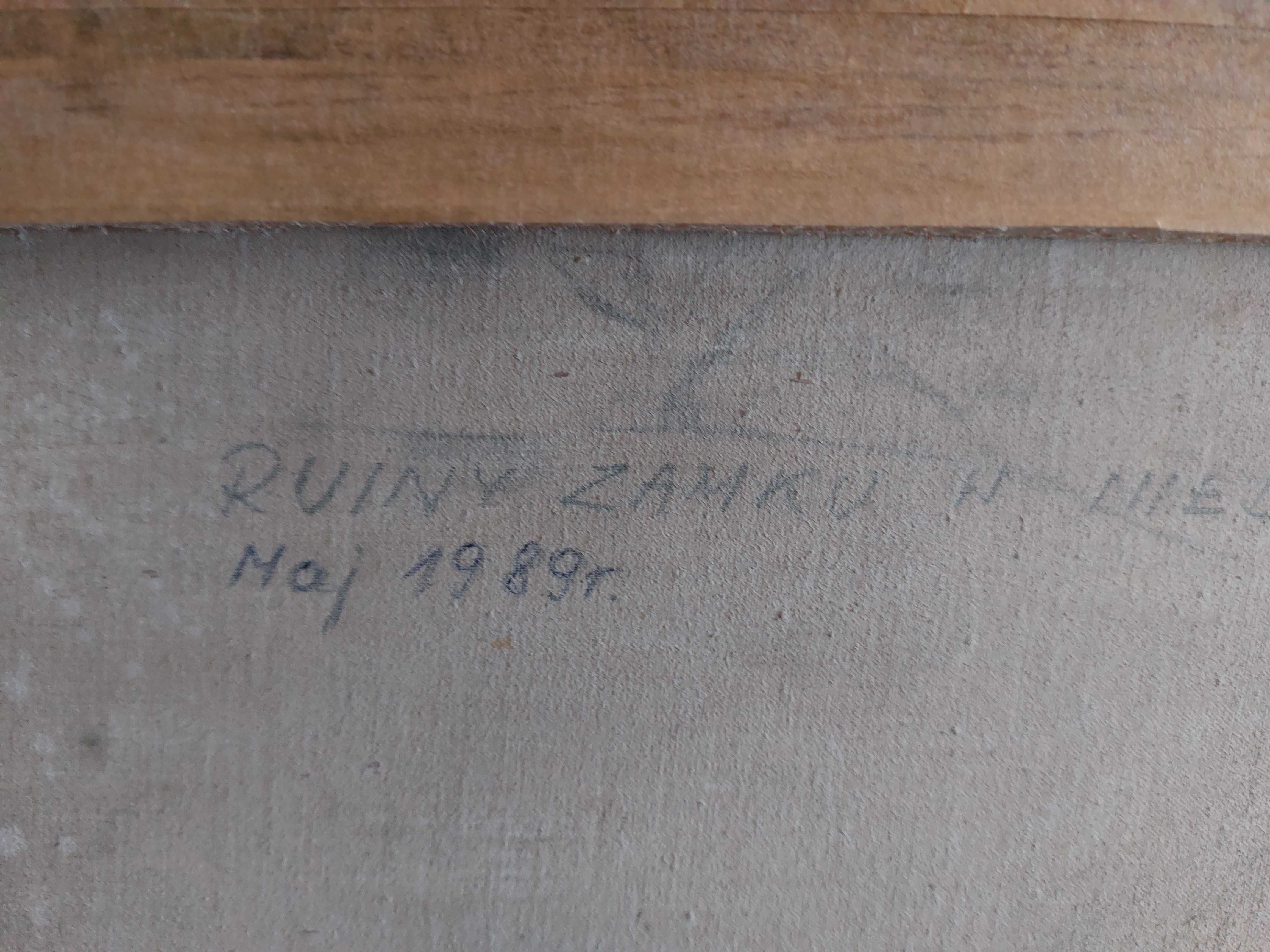 Ruiny zamku w Niedzicy obraz