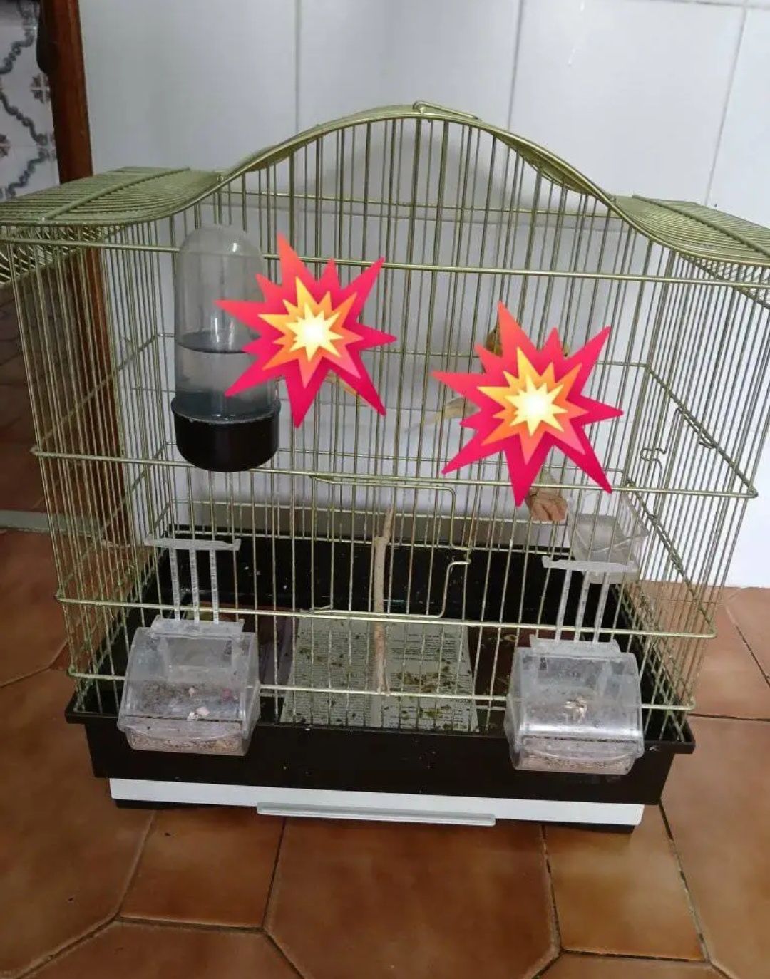 gaiola com tudos lindos