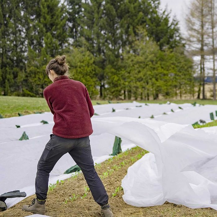 Ochrona roślin przed mrozem, osłona ogrodowa 3 × 15 m, 17 g/m2