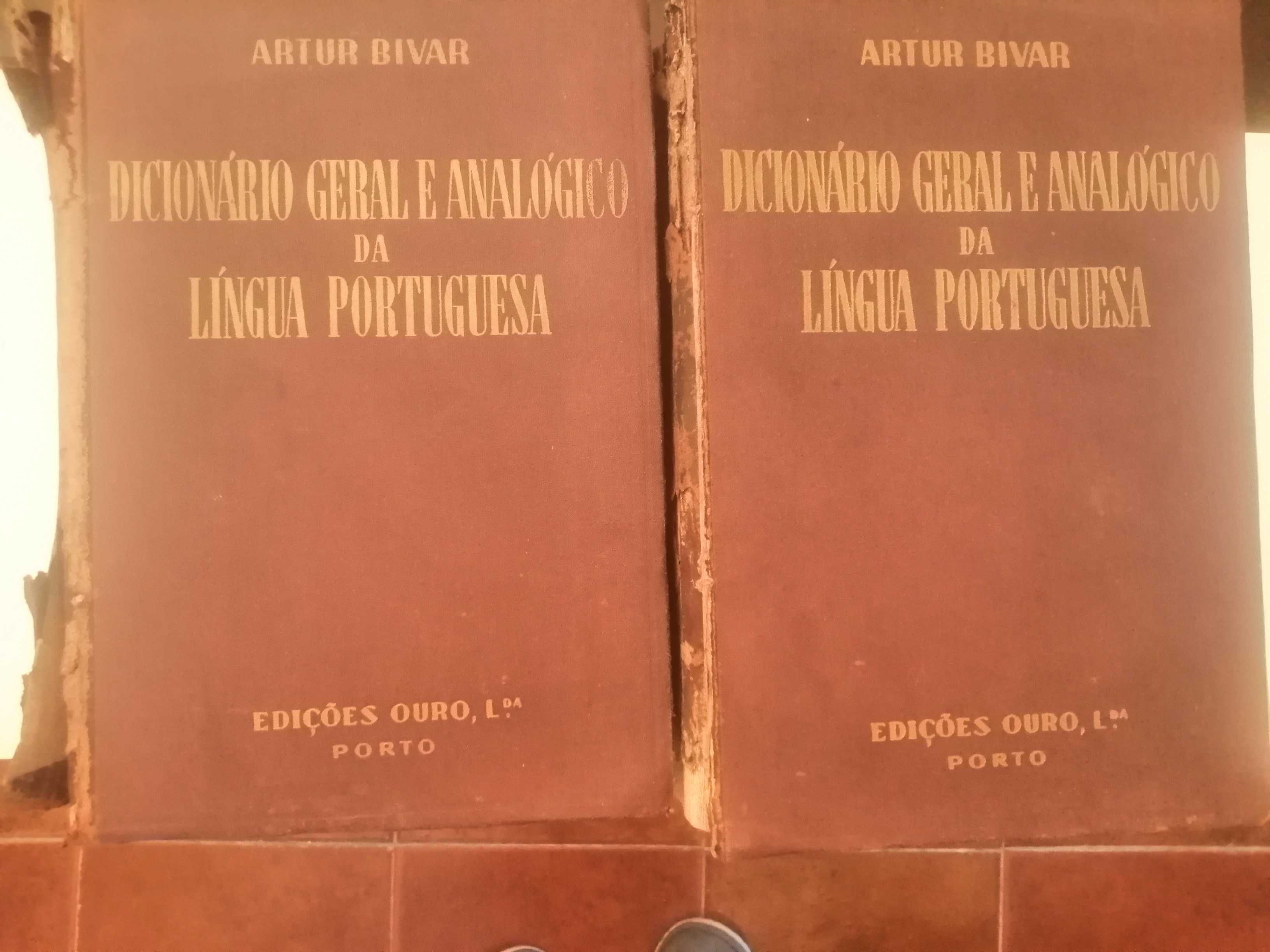 Dicionário geral e analógico da língua portuguesa