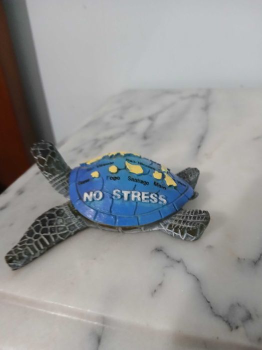Tartaruga Decorativa Cabo Verde