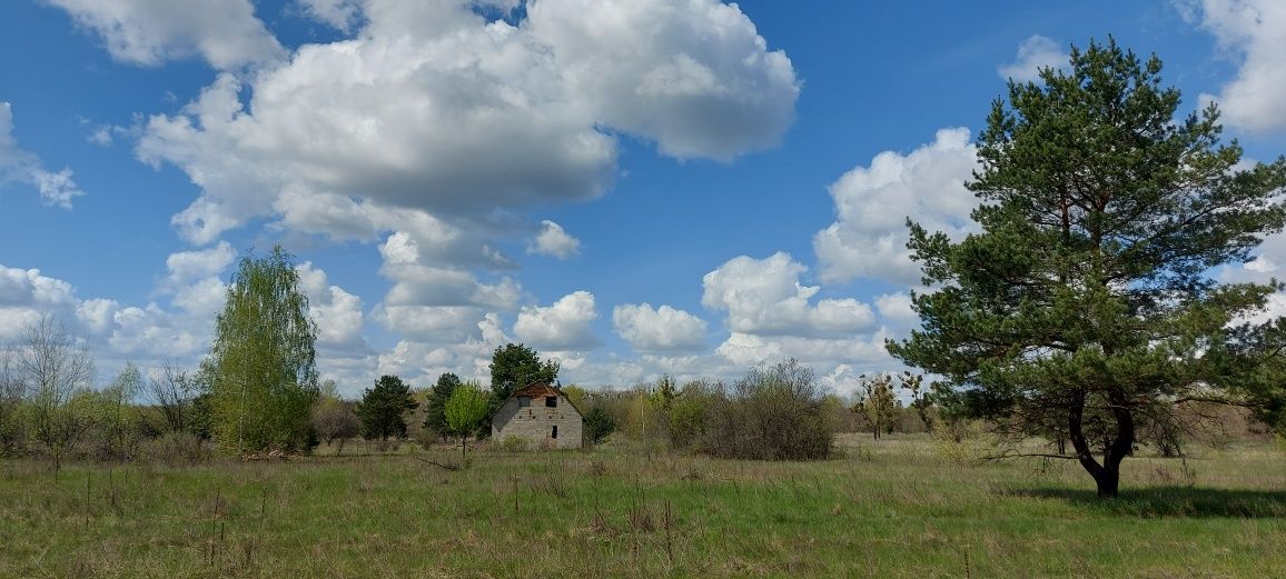 Продам власну ділянку в садовом товаристві