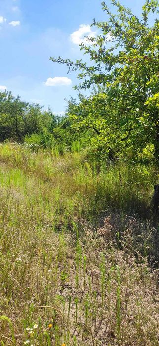 (3) Продам дачний будинок в Сальнику 0925