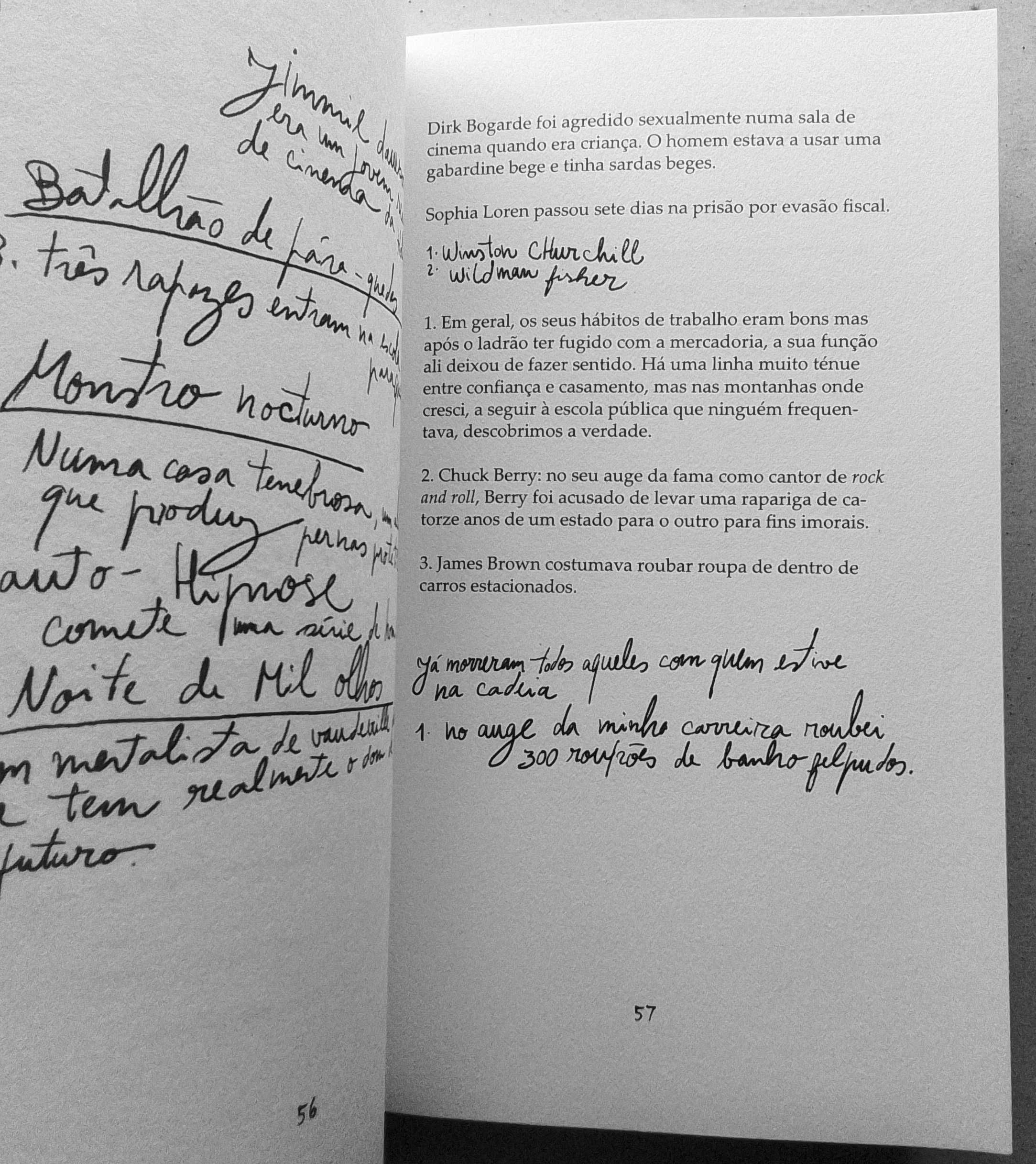 'Uma aberta nos tumultos raciais', de Harmony Korine [exemplar novo]