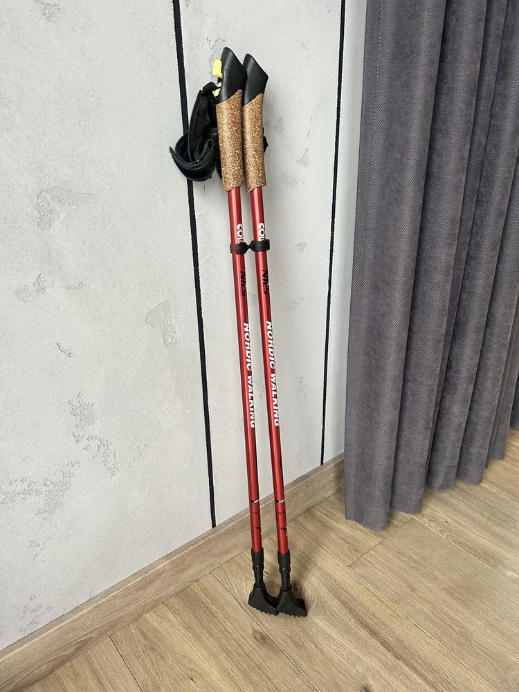 Kijki do nordic walking