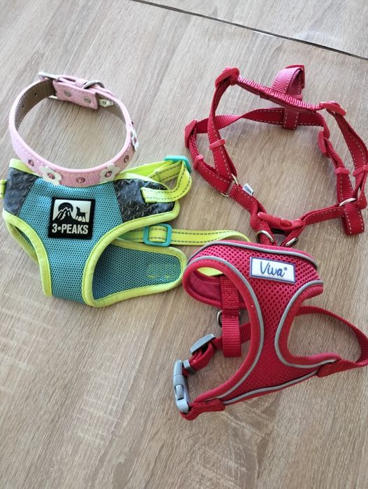 Одежда для собак Rufus & Rosie