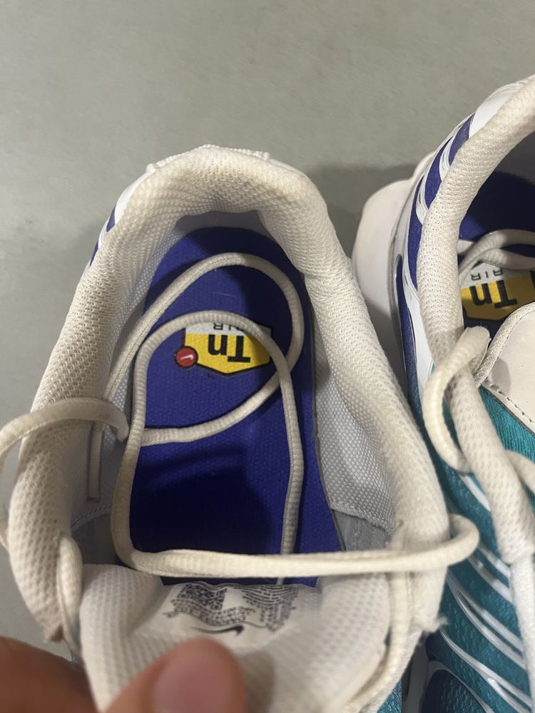 Чоловічі кросівки NIKE AIR MAX PLUS