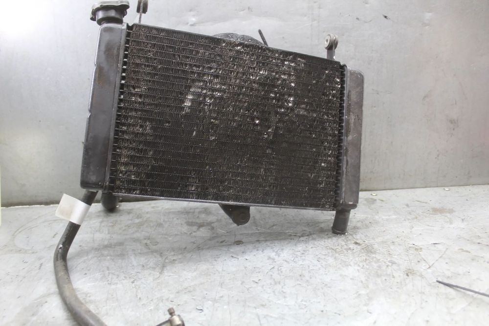 Yamaha FZR 600 Genesis Chłodnica wentylator