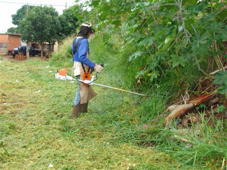 Limpeza de terrenos