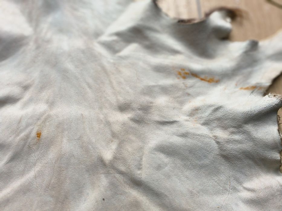 Piękna skóra kozia